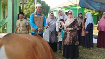 Kepala MAN IC Jambi Serahkan 6 Sapi Hewan Qurban dari Peserta kepada Panitia